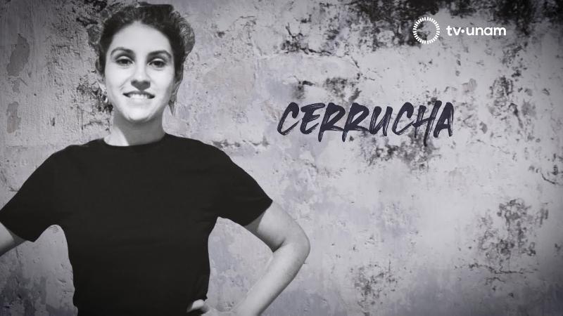 Cátedra Rosario Castellanos de Arte y Género-Cerrucha-2021.jpg.jpg