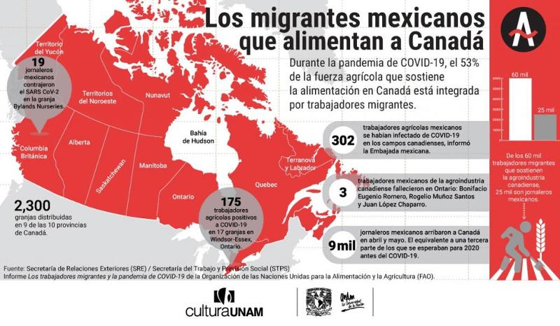 Unidad de Investigaciones Periodísticas, UNAM_Jornaleros mexicanos en Canadá.jpg.jpg