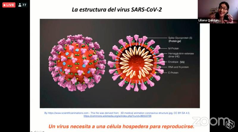 Coordinación de Difusión Cultural, UNAM_México en el Sincrotrón Suizo: Estudios sobre el coronavirus.jpg.jpg